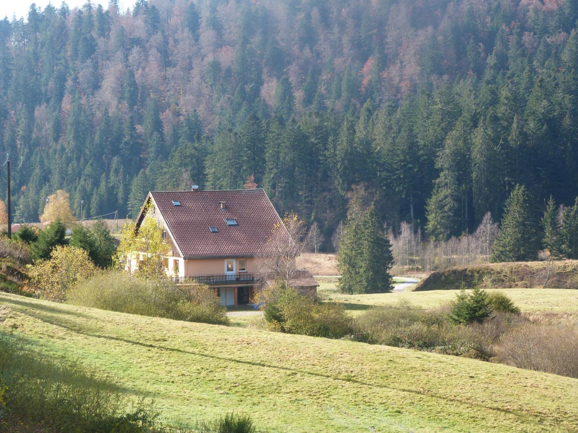 Domaine Des Hauts Viaux ลาแบรส ภายนอก รูปภาพ