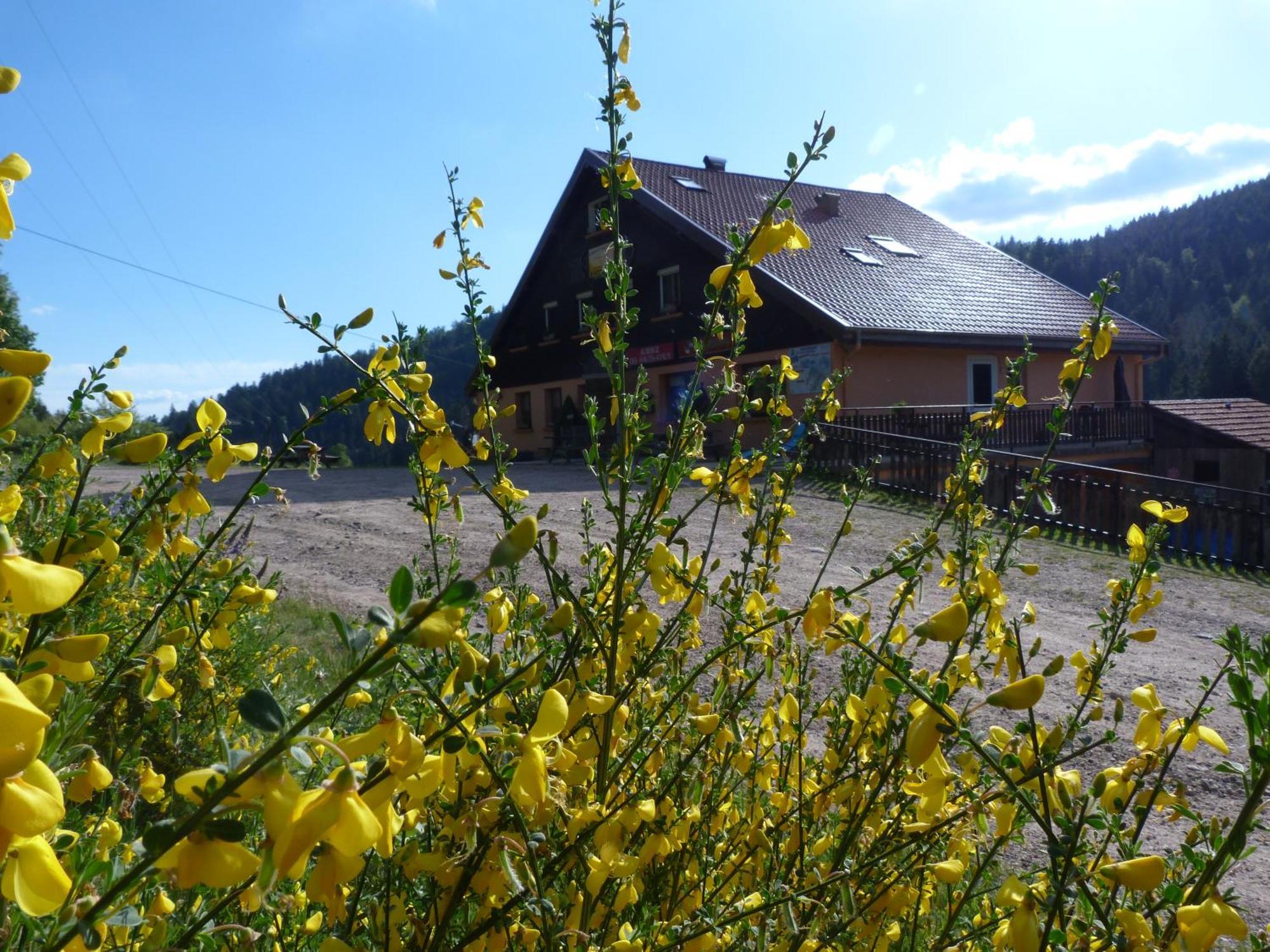 Domaine Des Hauts Viaux ลาแบรส ภายนอก รูปภาพ