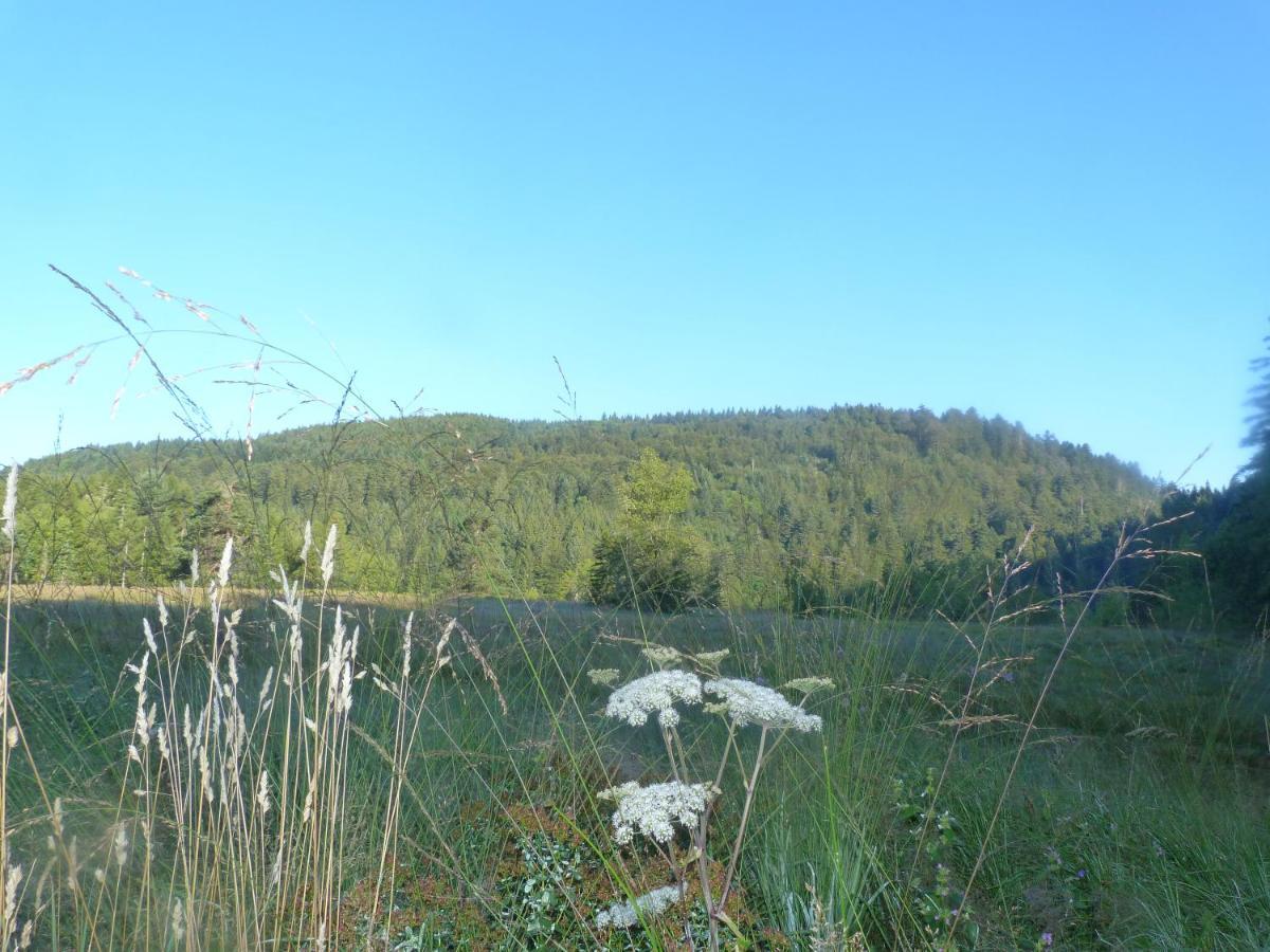 Domaine Des Hauts Viaux ลาแบรส ภายนอก รูปภาพ